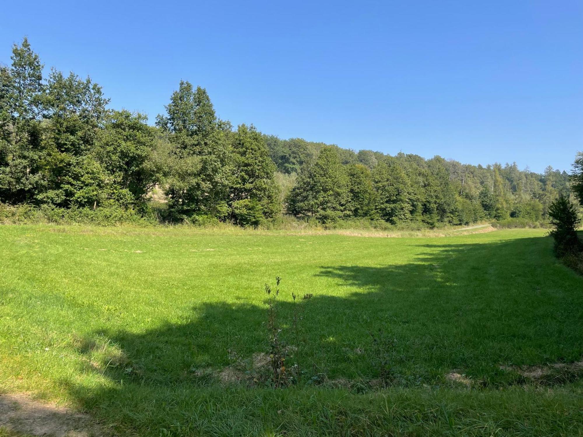 Gaestehaus Koehler Waldsolms Exterior foto